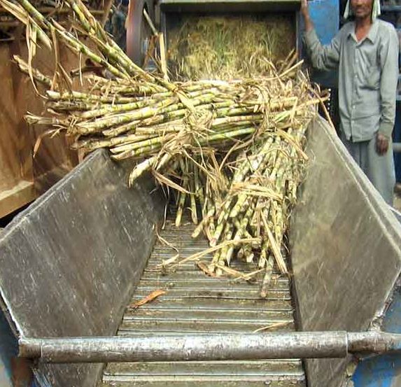 Ministry of Agriculture Boosts Sugar Factory Productivity in Bone